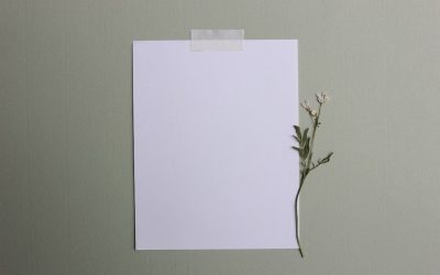 La Simplicité Volontaire : Le Chemin Vers un Bonheur Durable en 2025