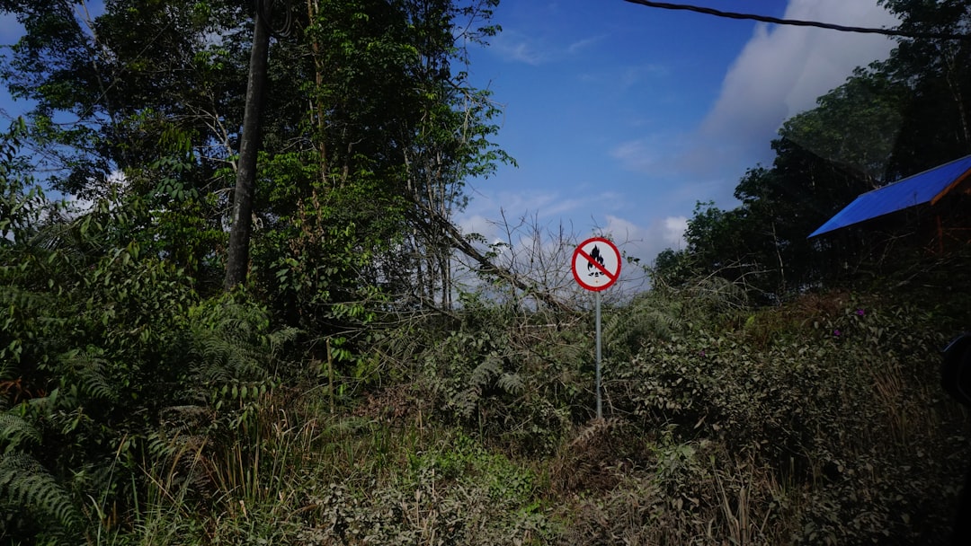 les-10-destinations-de-r-ve-incontournables-pour-l-apr-s-2025-pr-parez-votre-voyage-d-une-vie-1760185754192