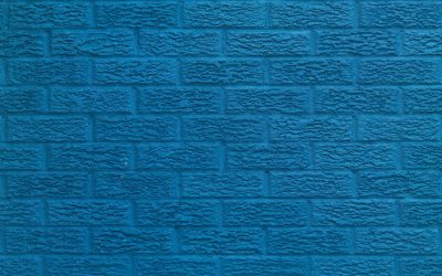 Les Secrets de la Longévité : Adoptez les Habitudes des Centenaires pour une Vie Plus Longue et Saine