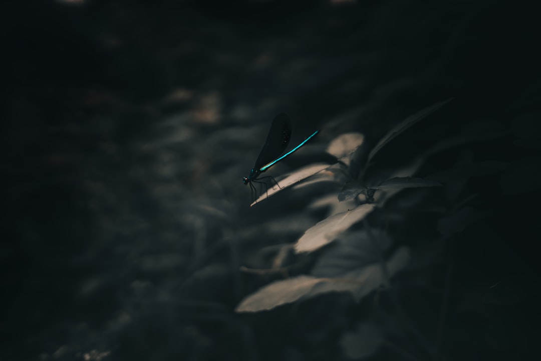 s-curit-internet-et-protection-de-la-vie-priv-e-les-cl-s-pour-2025-et-au-del-1759991349232