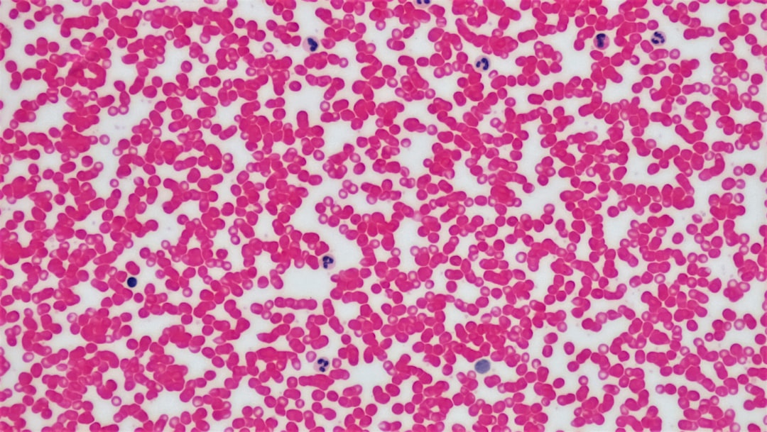 groupes-sanguins-et-personnalit-d-m-ler-le-vrai-du-faux-en-2025-1763652546222