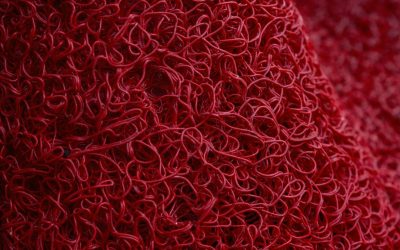 Groupes sanguins et personnalité : Mythe fascinant ou Réalité scientifique ?