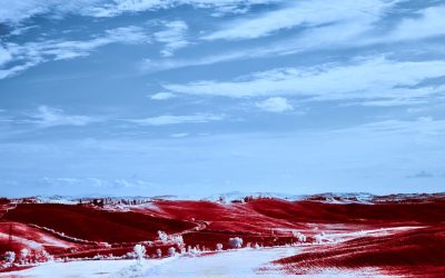 Groupes Sanguins et Personnalité : Mythe ou Réalité ? Une Exploration des Croyances Populaires et de la Science