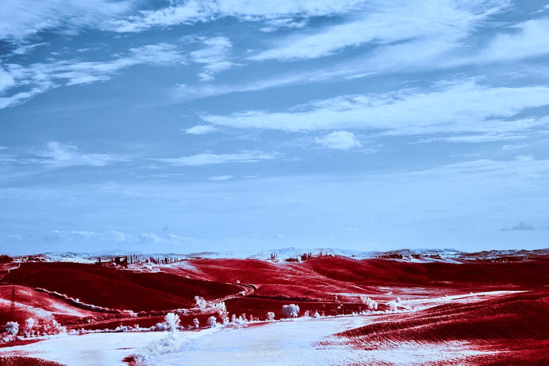 groupes-sanguins-et-personnalit-mythe-ou-r-alit-une-exploration-des-croyances-populaires-et-de-la-science-1764527336961