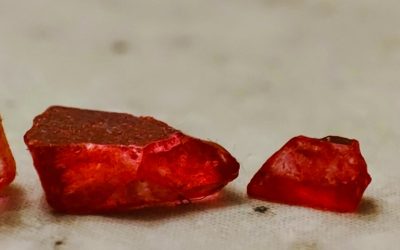 Groupes Sanguins et Personnalité : Mythes, Réalités et Curiosités Culturelles