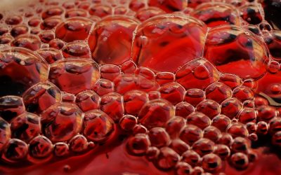 Groupes Sanguins et Personnalité : Mythes, Réalités et Fascination Culturelle en 2025