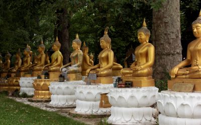 La Compatibilité Amoureuse Astrologique en 2025 : Un Guide pour des Relations Épanouies à l&rsquo;Ère Moderne