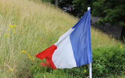 Maîtriser le Référencement Google en 2025 : Votre Guide Complet pour une Visibilité Maximale