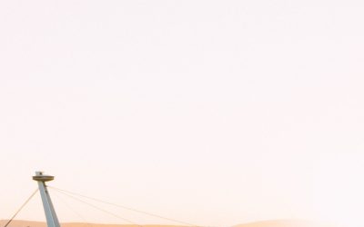 Maîtriser le Référencement Google : Votre Guide pour une Visibilité Maximale en 2025