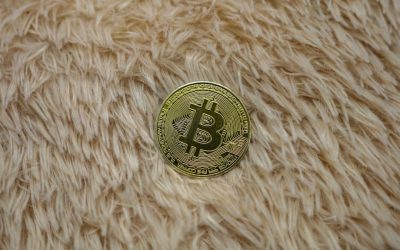 Maîtriser le Scalping de Cryptomonnaies : Votre Guide Essentiel pour 2025