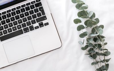 Transformez Votre Passion en Profits : Le Guide Ultime du Blog Rentable avec WordPress en 2025