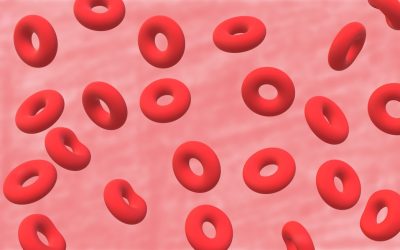 Groupes Sanguins et Personnalité : Mythe Culturel ou Réalité Scientifique ?