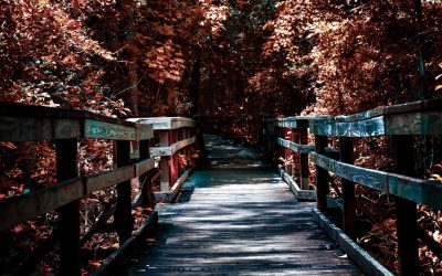 L&rsquo;IA Générative en 2026 : Révolution ou Évolution du Monde du Travail ?