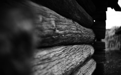 Maîtriser le Scalping FX : Une Stratégie de Trading à Haute Fréquence pour des Gains Rapides