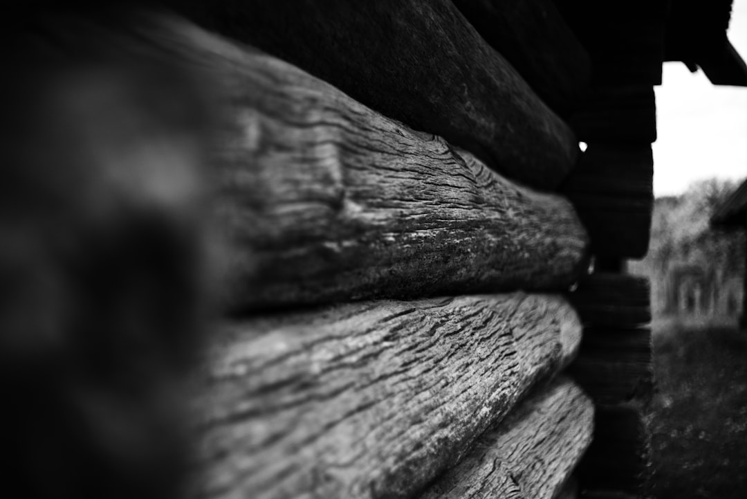 ma-triser-le-scalping-fx-une-strat-gie-de-trading-haute-fr-quence-pour-des-gains-rapides-1767119333859