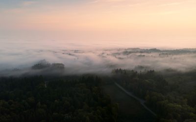 Maîtriser le SEO : Comment propulser votre blog en tête des résultats Google en 2025