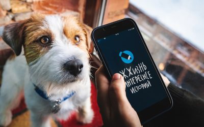 Maîtriser le Swing Trading : Une Stratégie Efficace pour des Profits sur le Marché Boursier