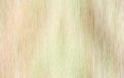 MBTI et Compatibilité Amoureuse : Mythes, Réalités et Conseils pour des Relations Épanouies