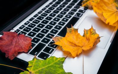 Transformer Votre Passion en Profits : Le Blog Rentable avec WordPress en 2025