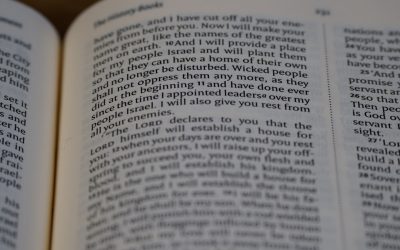 Transformez Votre Passion en Profit : Le Guide Ultime du Blog Monétisé avec WordPress en 2025