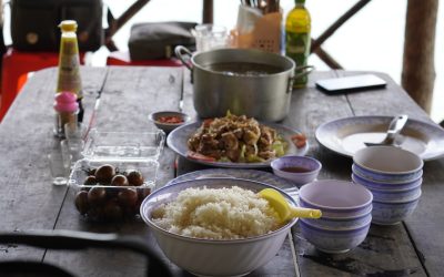 Éveillez Vos Papilles : Les Destinations Gourmandes et Astuces de Voyage en 2025-2026