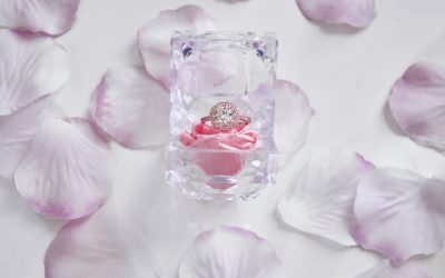 Compatibilité Amoureuse Astrologique : Décryptez Votre Destin Relationnel en 2026 ✨