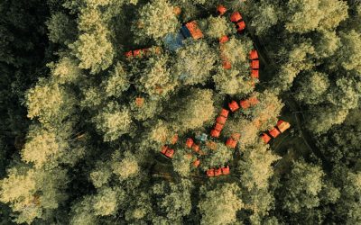 Démêler le Vrai du Faux : Les Groupes Sanguins Révèlent-ils Vraiment Votre Personnalité ?