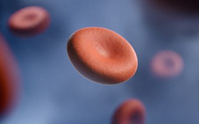 Groupe Sanguin et Personnalité : Mythe ou Réalité Scientifique ?