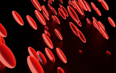 Groupes Sanguins et Personnalité : Une Fascinante Croyance Culturelle au Cœur de l&rsquo;Asie