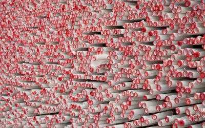 Groupes Sanguins et Santé : Démêler le Vrai du Faux en 2026