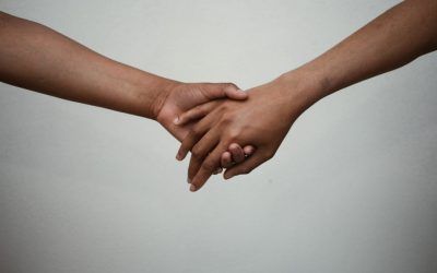 La Compatibilité MBTI : Mythes, Réalités et Clés pour des Relations Épanouies en 2026