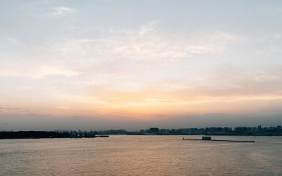 Le Scalping en Bourse : Une Stratégie de Trading Rapide pour 2026