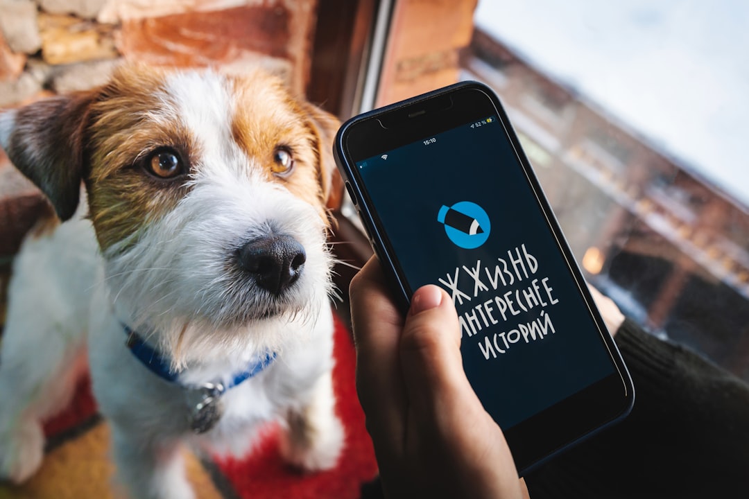 ma-triser-le-scalping-fx-une-strat-gie-de-trading-rapide-et-efficace-pour-2026-1769084949395