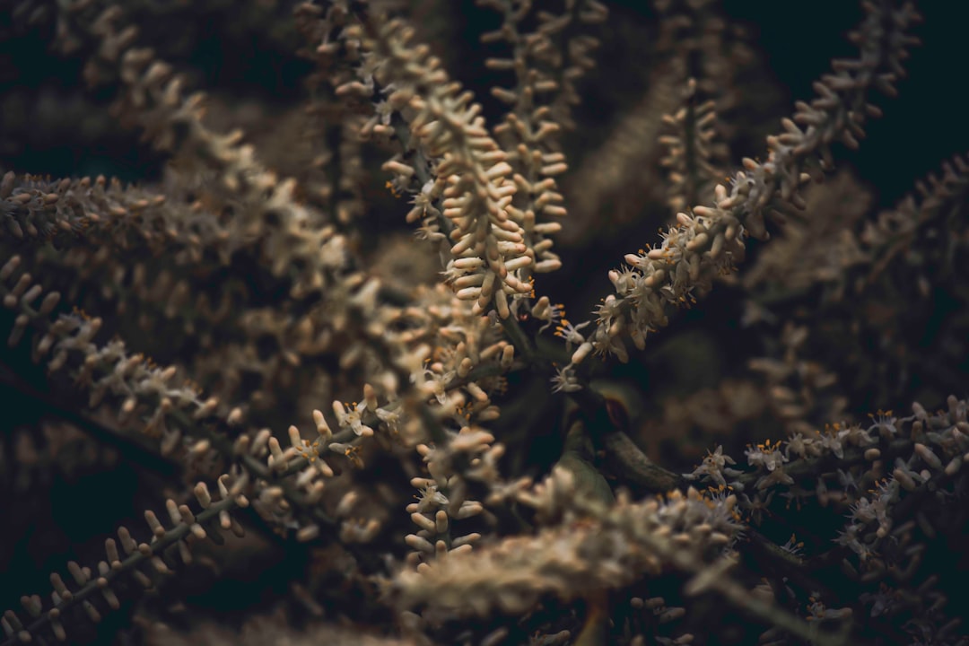 ma-triser-le-scalping-sur-futures-une-strat-gie-de-trading-haute-fr-quence-pour-des-gains-rapides-1768037526403