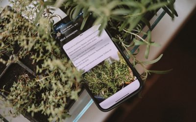 Monétiser son Blog avec Google AdSense en 2026 : Le Guide Complet pour Maximiser Vos Revenus