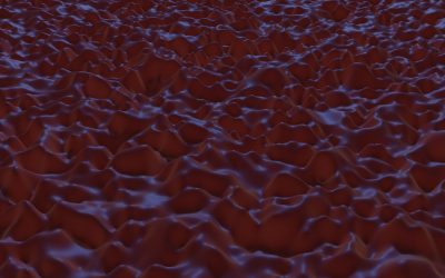 Groupes Sanguins et Personnalité : Démêler le Mythe de la Réalité en 2026