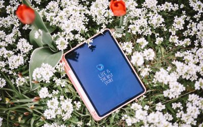 Maîtriser la Volatilité Crypto avec le Dollar-Cost Averaging (DCA) en 2026