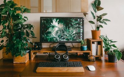 Transformez Votre Passion en Profits : Le Blog Rentable avec WordPress en 2026