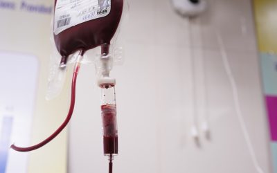 Groupes Sanguins et Personnalité : Mythe ou Réalité ?