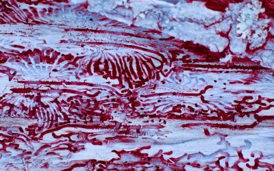 Groupes Sanguins et Personnalité : Mythe ou Réalité de la Compatibilité Amoureuse ?