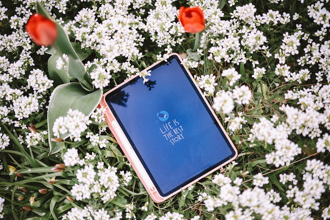 le-swing-trading-une-strat-gie-boursi-re-dynamique-pour-maximiser-vos-profits-en-2026-1773836938919