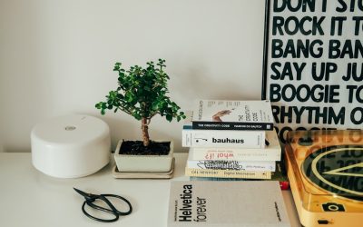 Maximiser vos revenus avec un blog WordPress : Stratégies et outils essentiels pour 2026