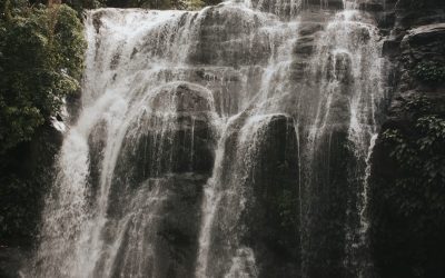 MBTI et la Compatibilité Amoureuse : Entre Fascination et Réalité en 2026