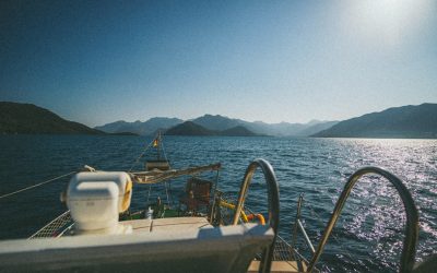 Voyage Gastronomique 2026 : Explorez les Saveurs du Monde et Nos Astuces Gourmandes !