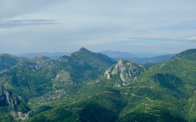 Groupes Sanguins et Amour : Mythes, Réalités et Tendances Actuelles en 2026