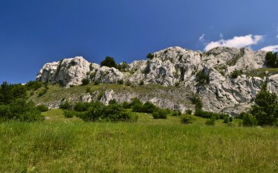 Groupes Sanguins et Personnalité : Mythe, Tendance ou Réalité Scientifique ?