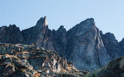 Groupes Sanguins et Personnalité : Mythes, Réalités et Fascination Culturelle