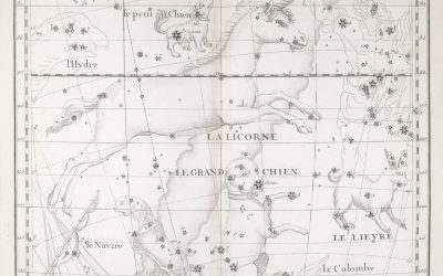 La Compatibilité Sanguine : Mythes, Réalités et l&rsquo;Écho Culturel