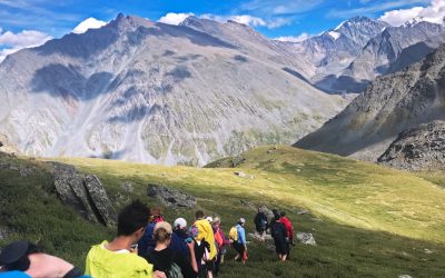 Le Code Secret de Votre Personnalité : Mythe ou Réalité des Groupes Sanguins ?