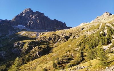 Groupes Sanguins et Personnalité : Une Exploration Fascinante (et Démystifiée !) de la Compatibilité